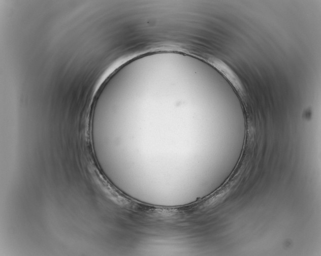 X0000089871052200707262145