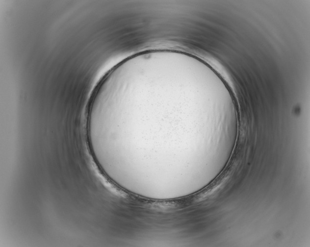 X0000089871053200707262145