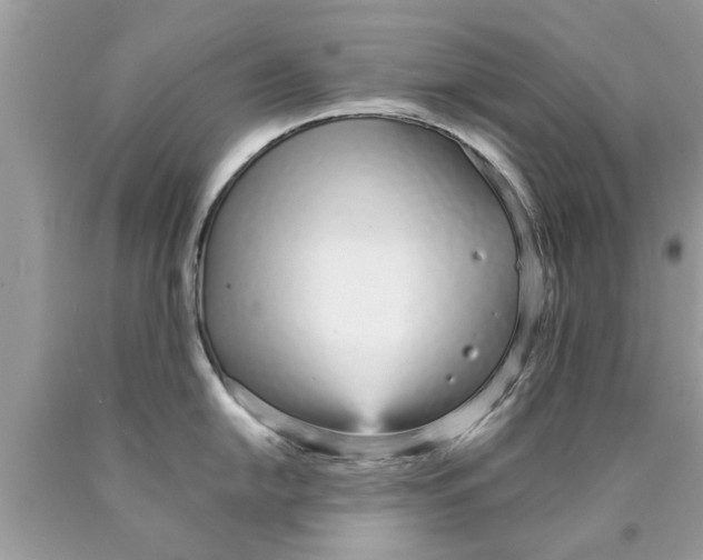 X0000089871054200707262145