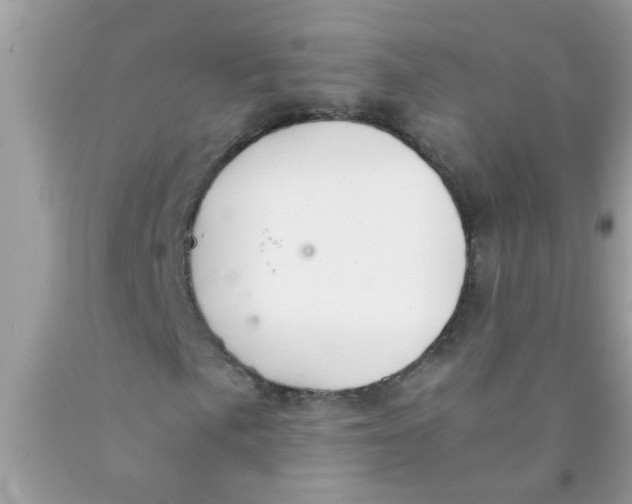 X0000089871057200707262144