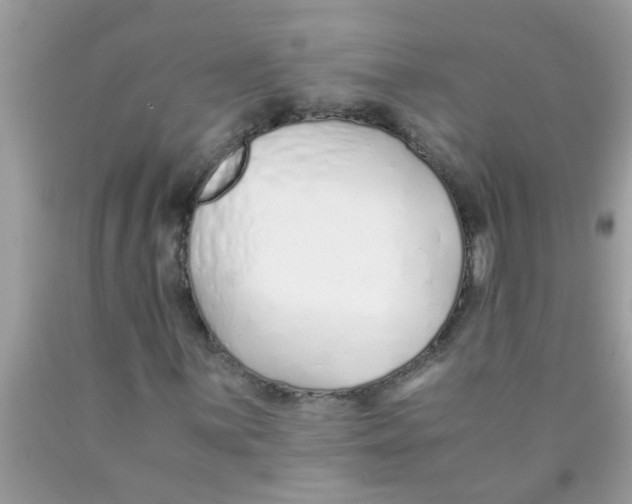 X0000089871059200707262144