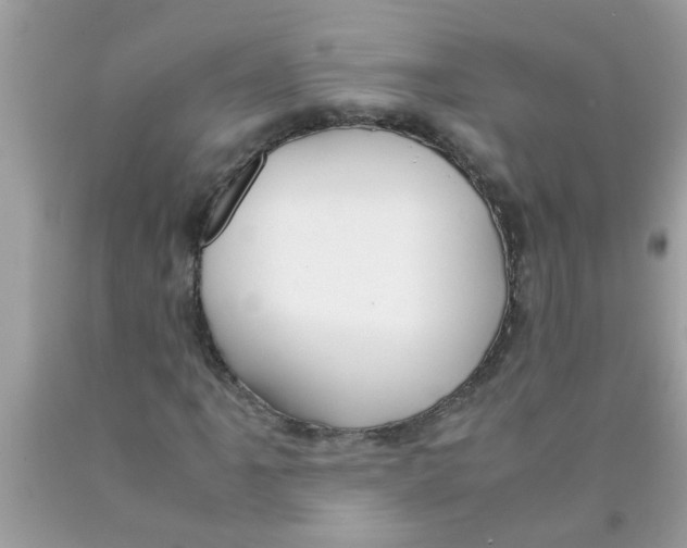 X0000089871061200707262144