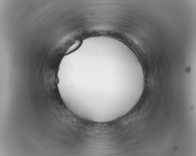 X0000089871062200707262144