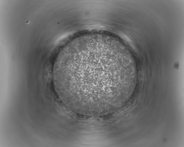 X0000089871063200707262144