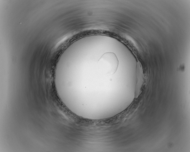 X0000089871064200707262144