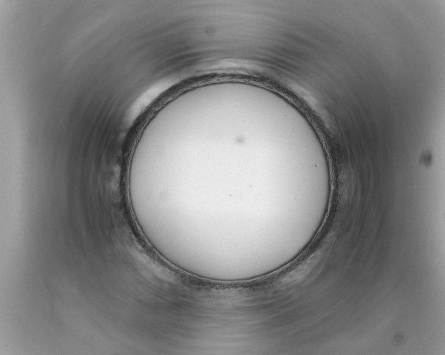 X0000089871066200707262144