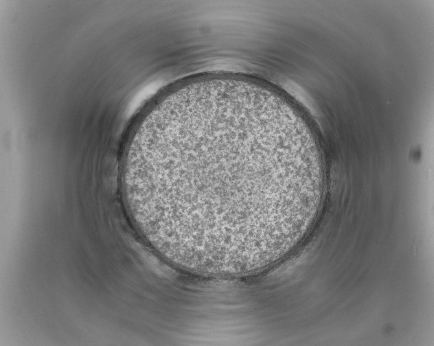 X0000089871067200707262144