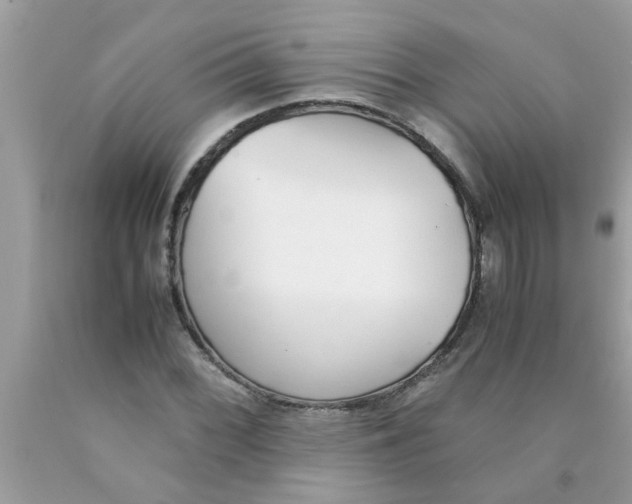 X0000089871068200707262144