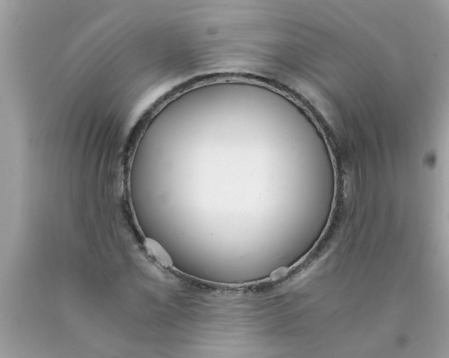 X0000089871069200707262144