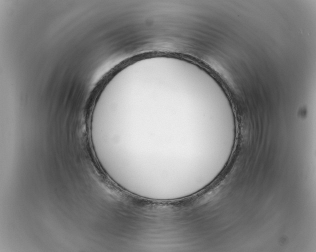 X0000089871070200707262144