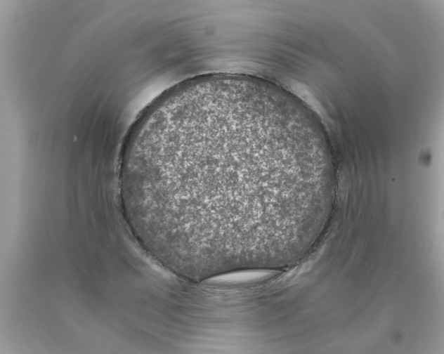 X0000089871071200707262144