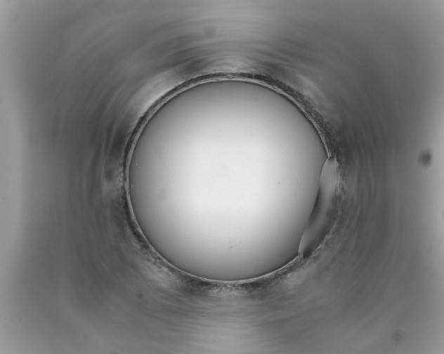 X0000089871073200707262144
