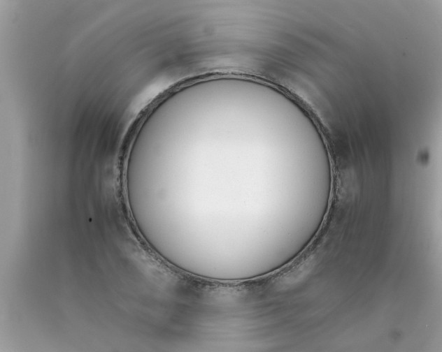X0000089871074200707262144