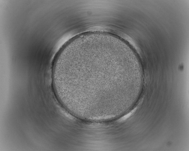 X0000089871075200707262144
