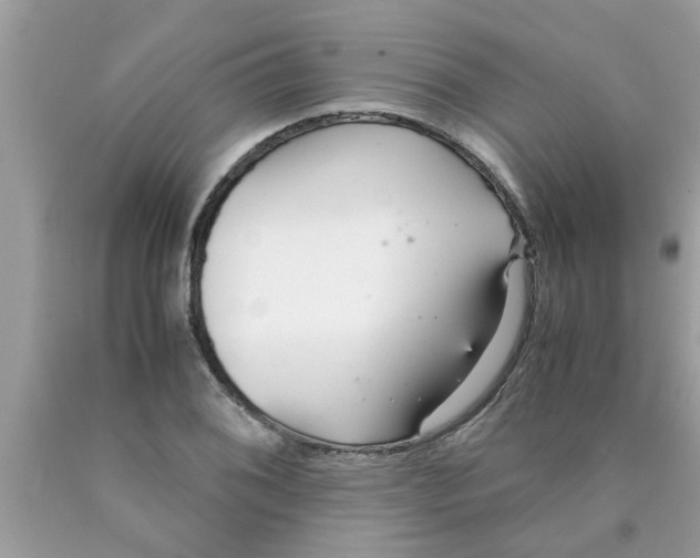 X0000089871076200707262144