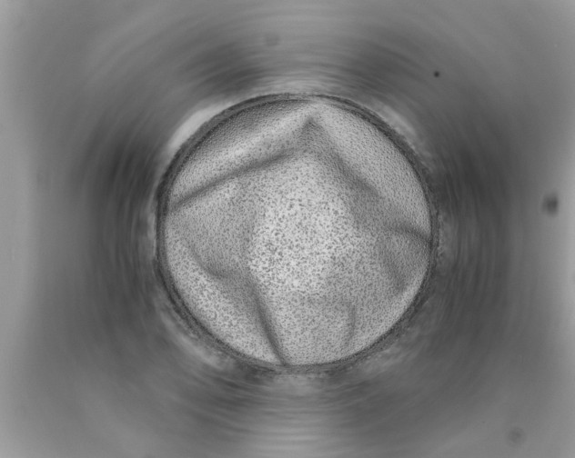 X0000089871078200707262144