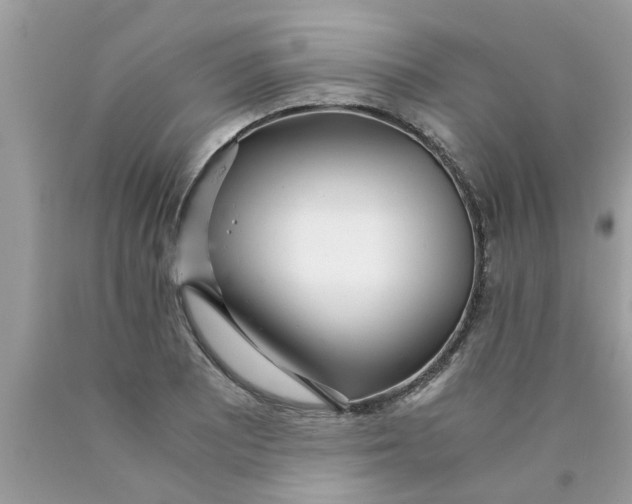X0000089871081200707262144