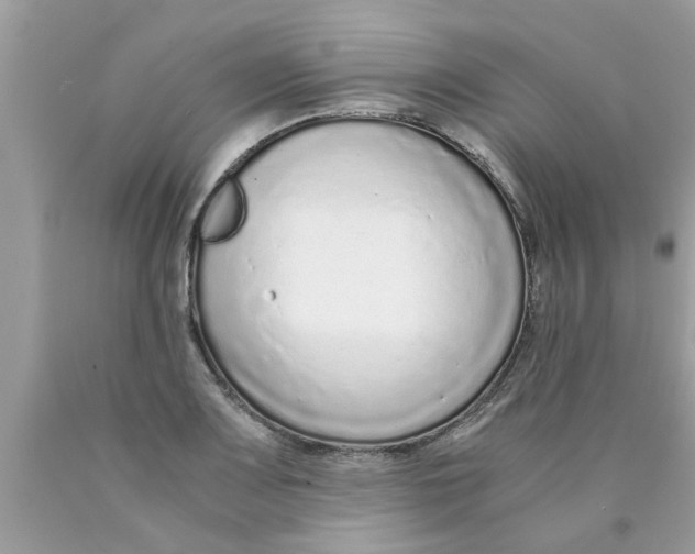 X0000089871083200707262144