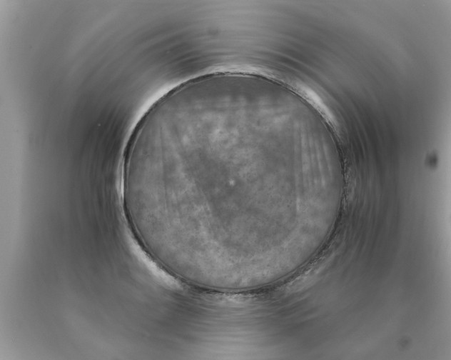 X0000089871084200707262144
