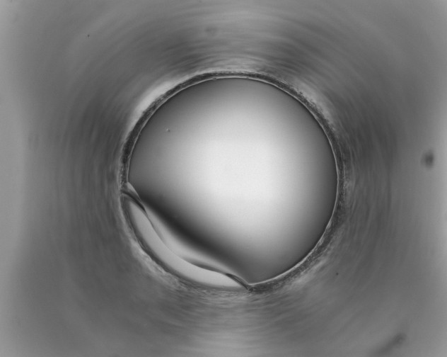 X0000089871085200707262144