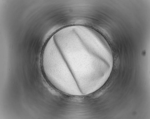 X0000089871086200707262144