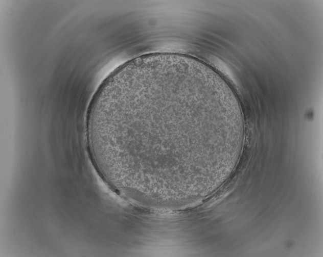 X0000089871087200707262144