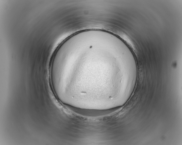 X0000089871088200707262144