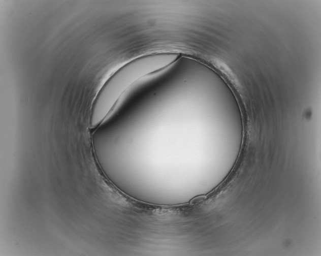 X0000089871089200707262144