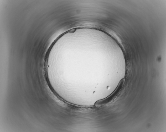 X0000089871091200707262144