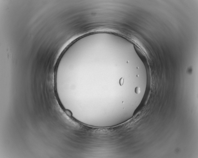 X0000089871092200707262144