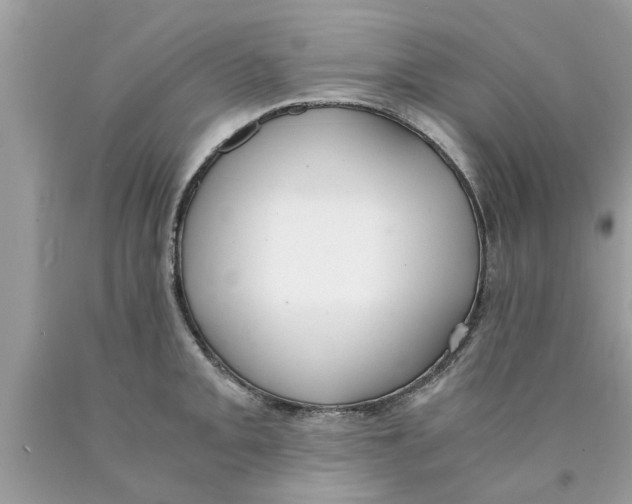 X0000089871093200707262144