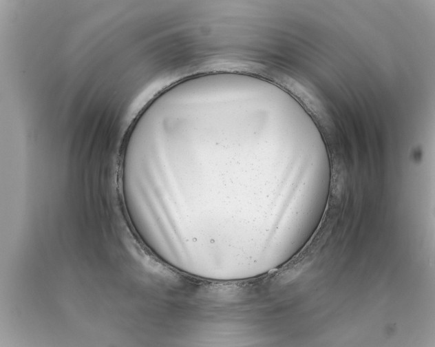 X0000089871094200707262144