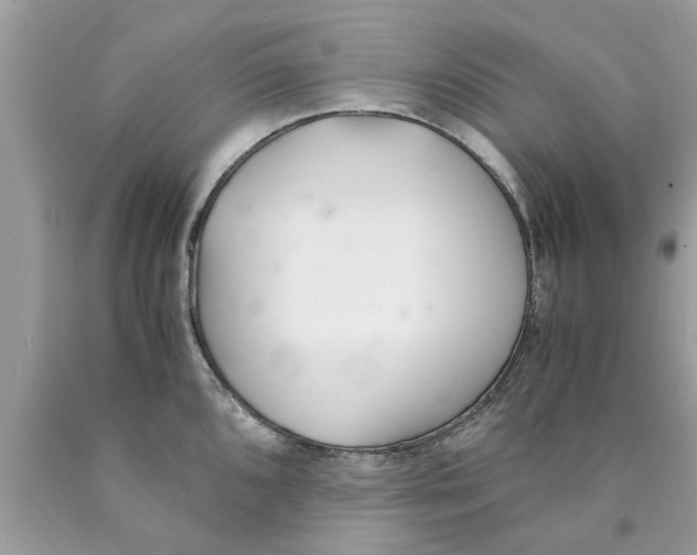 X0000089871096200707262144