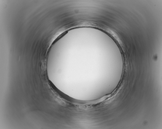 X0000089871097200707262144