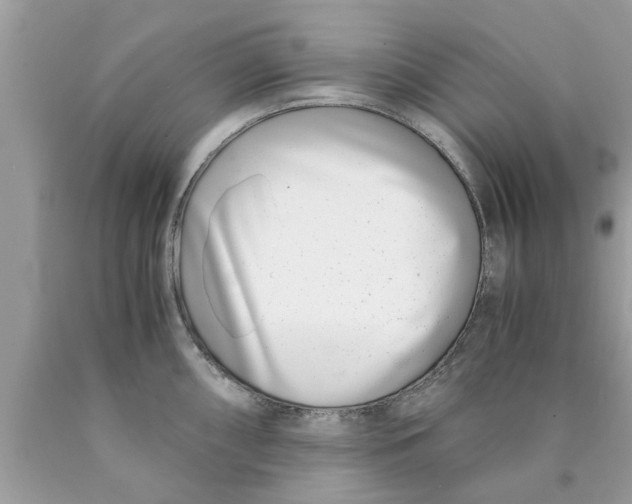 X0000089871098200707262144