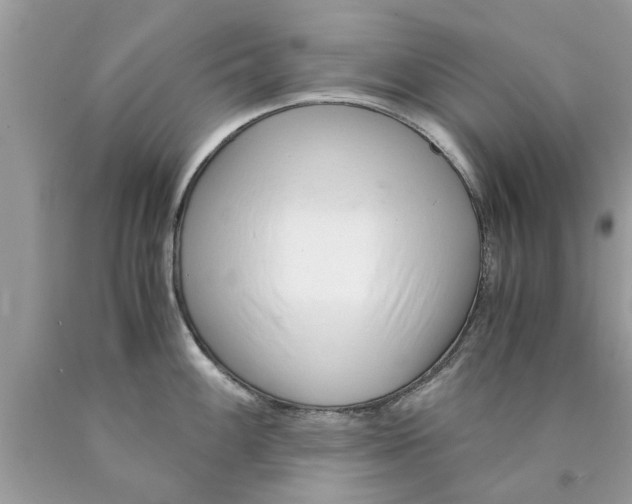 X0000089871100200707262144