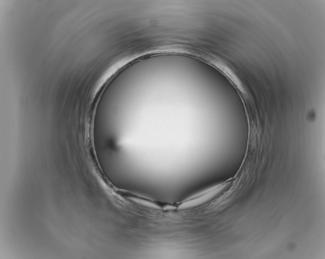 X0000089871101200707262144