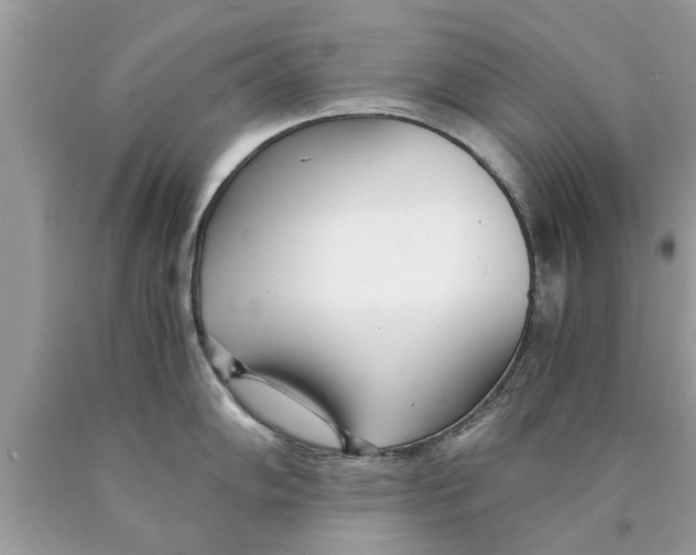 X0000089871102200707262144