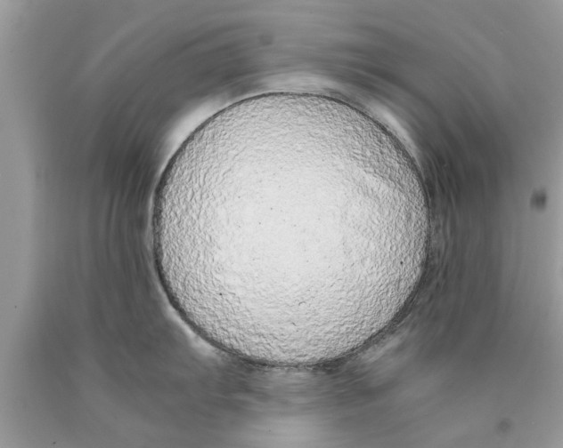 X0000089871103200707262144