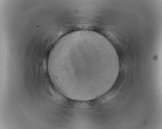 X0000089871106200707262143