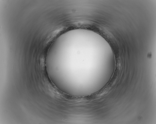X0000089871108200707262143