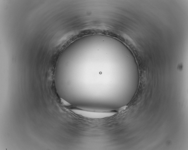 X0000089871110200707262143