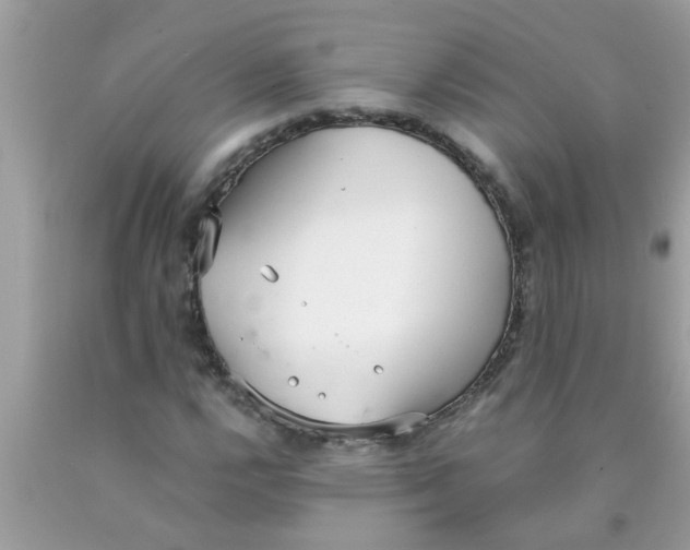 X0000089871112200707262143