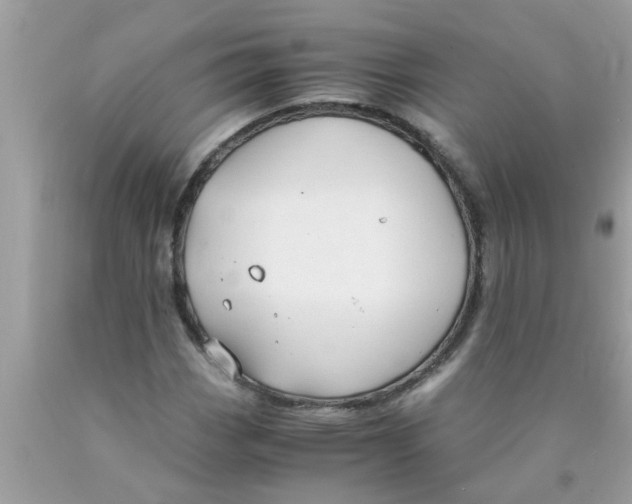 X0000089871113200707262143