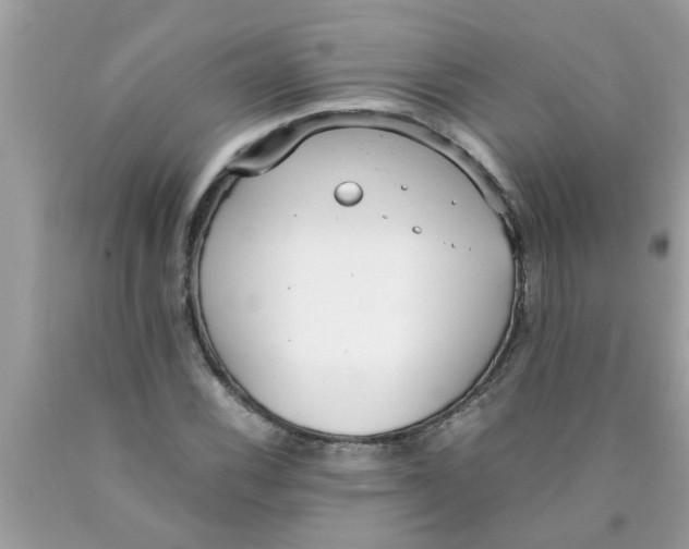 X0000089871116200707262143