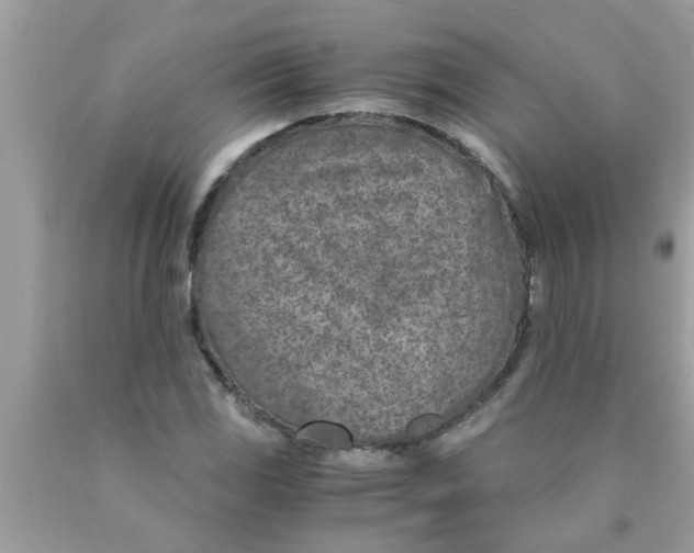 X0000089871117200707262143
