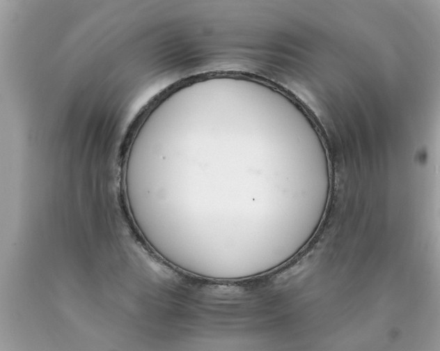 X0000089871119200707262143