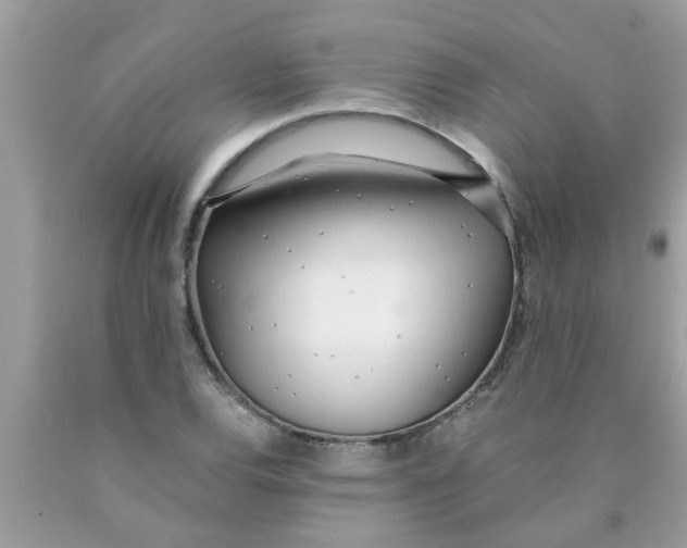 X0000089871120200707262143