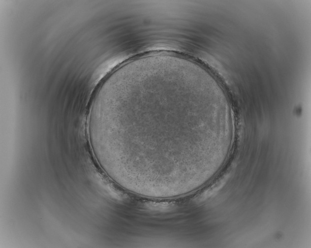 X0000089871121200707262143