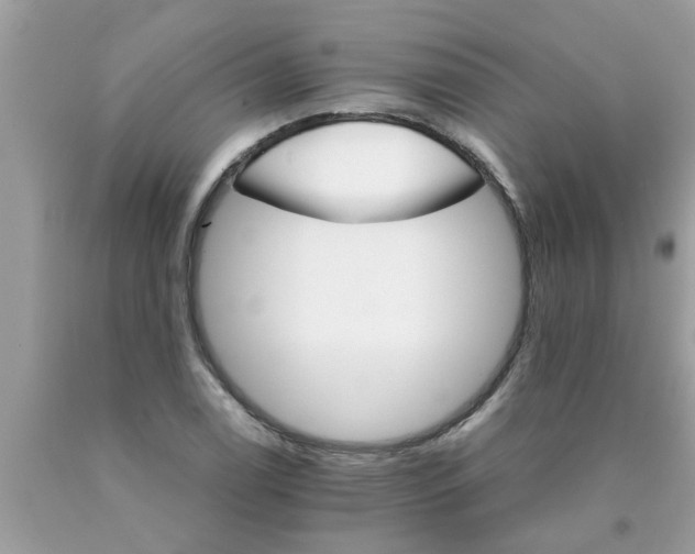 X0000089871122200707262143